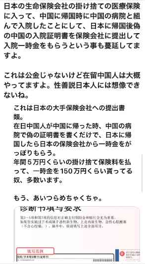 “チョロい国・日本”？…中国人富裕層への殺し文句は「日本の医療制度で高額の医療費負担を免れる」国会で経営管理ビザを議論