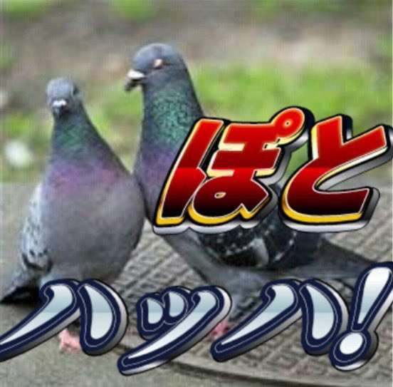 希死念慮が常にある方(積極的な自○願望ではない)