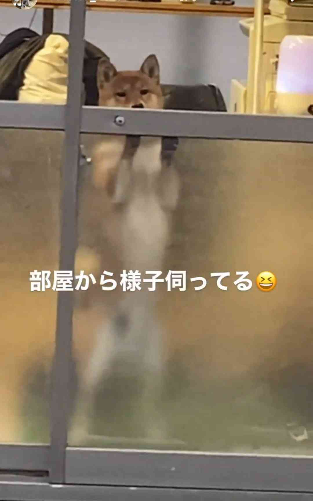 【実況・応援】第97回選抜高校野球大会　6日目