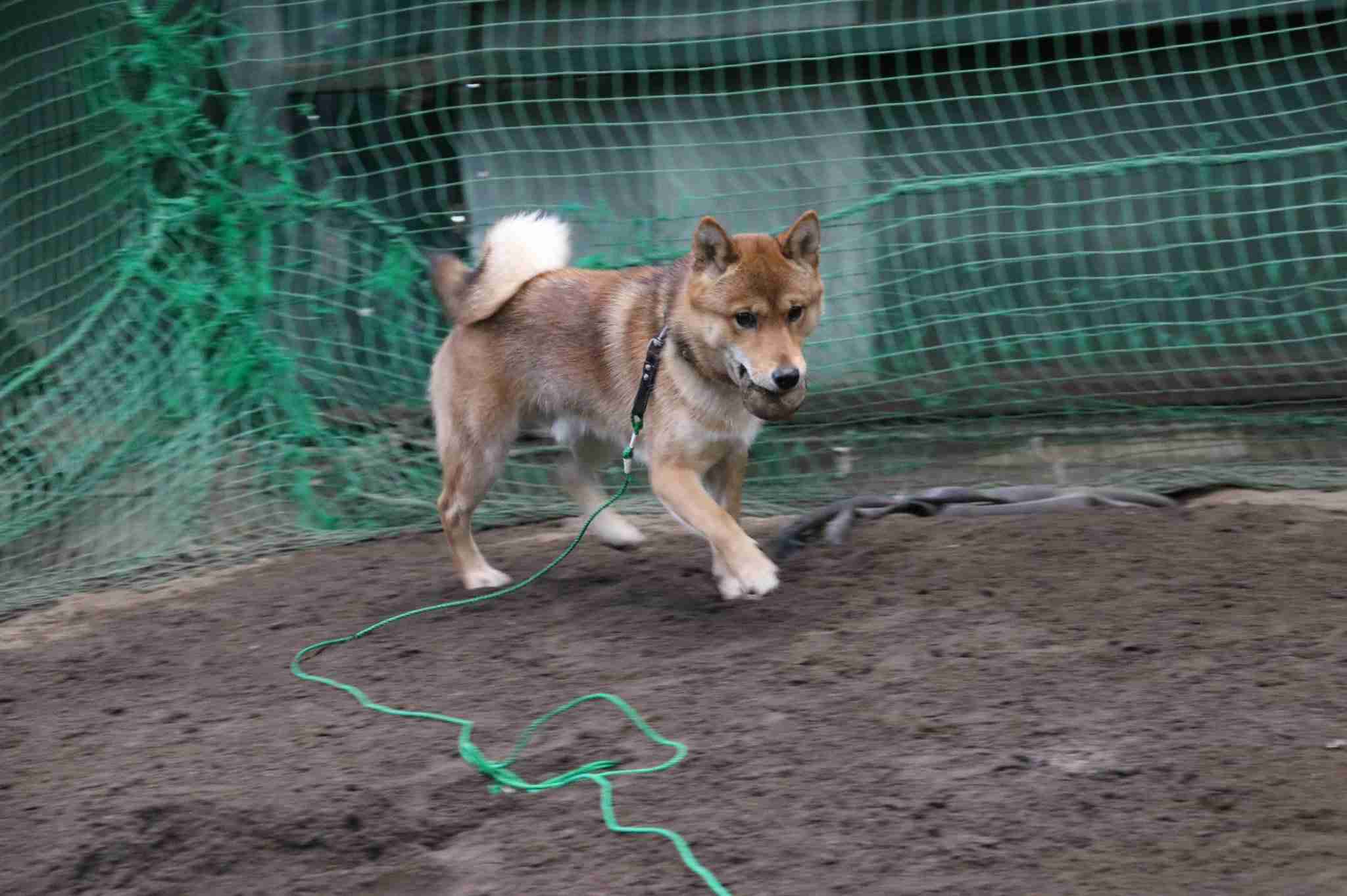 【実況・応援】第97回選抜高校野球大会　6日目