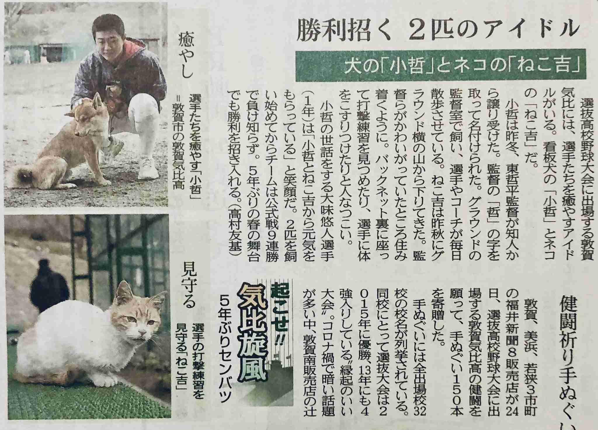 【実況・応援】第97回選抜高校野球大会　6日目