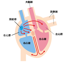 53歳・大久保佳代子、最近まで右左が分からなかったと告白　ようやく気付いた解決策とは？