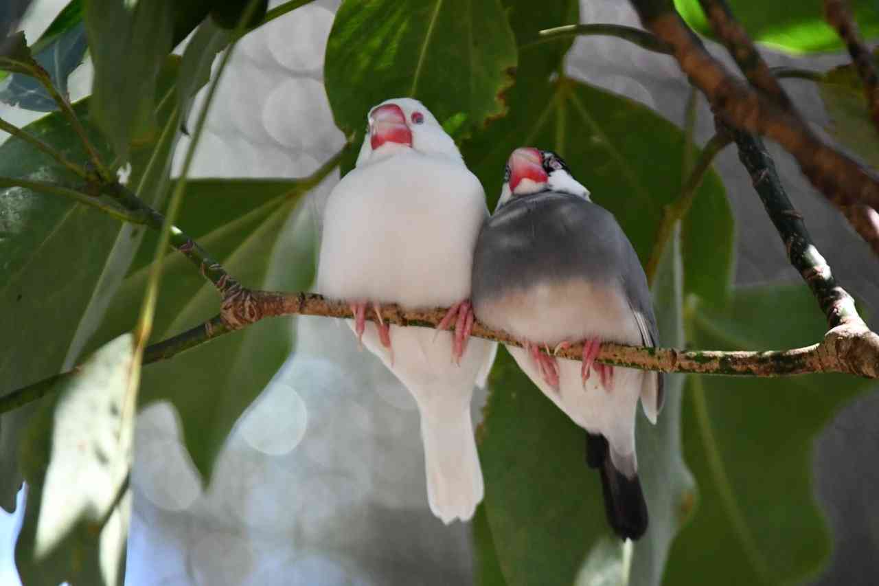 東京に行ったら行きたい場所