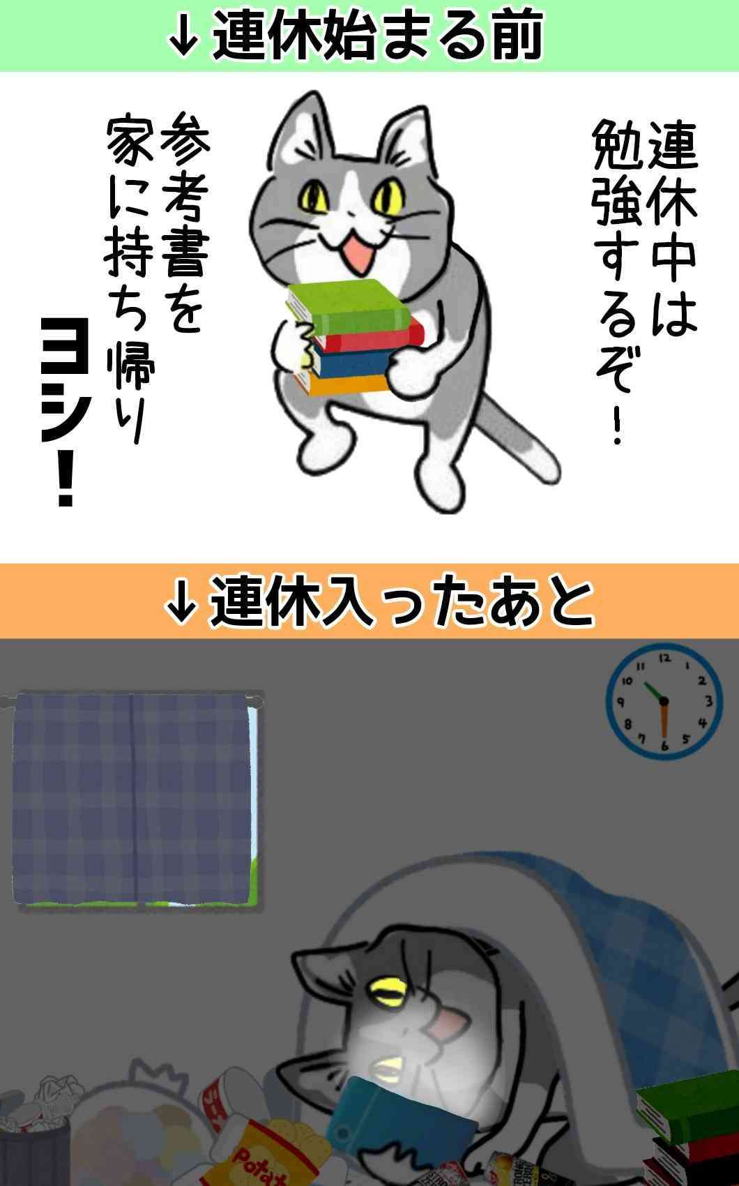 【理想】休日の過ごし方【現実】