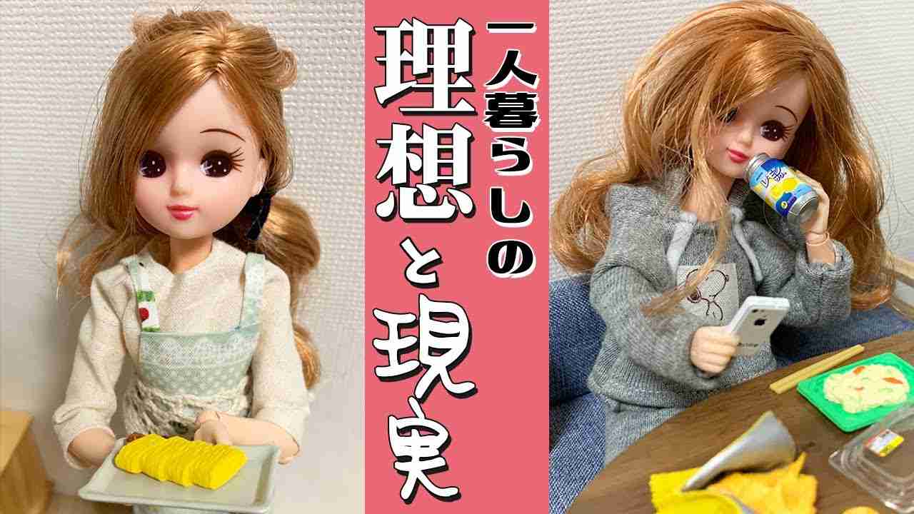 【理想】休日の過ごし方【現実】