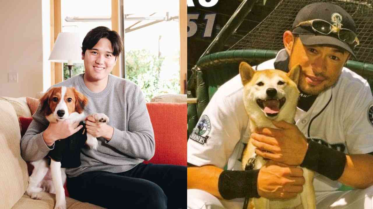 大谷翔平の愛犬デコピン、ソファでくつろぐ＆眠たげショット　「すねてるの？」「お留守番寂しいかな？」
