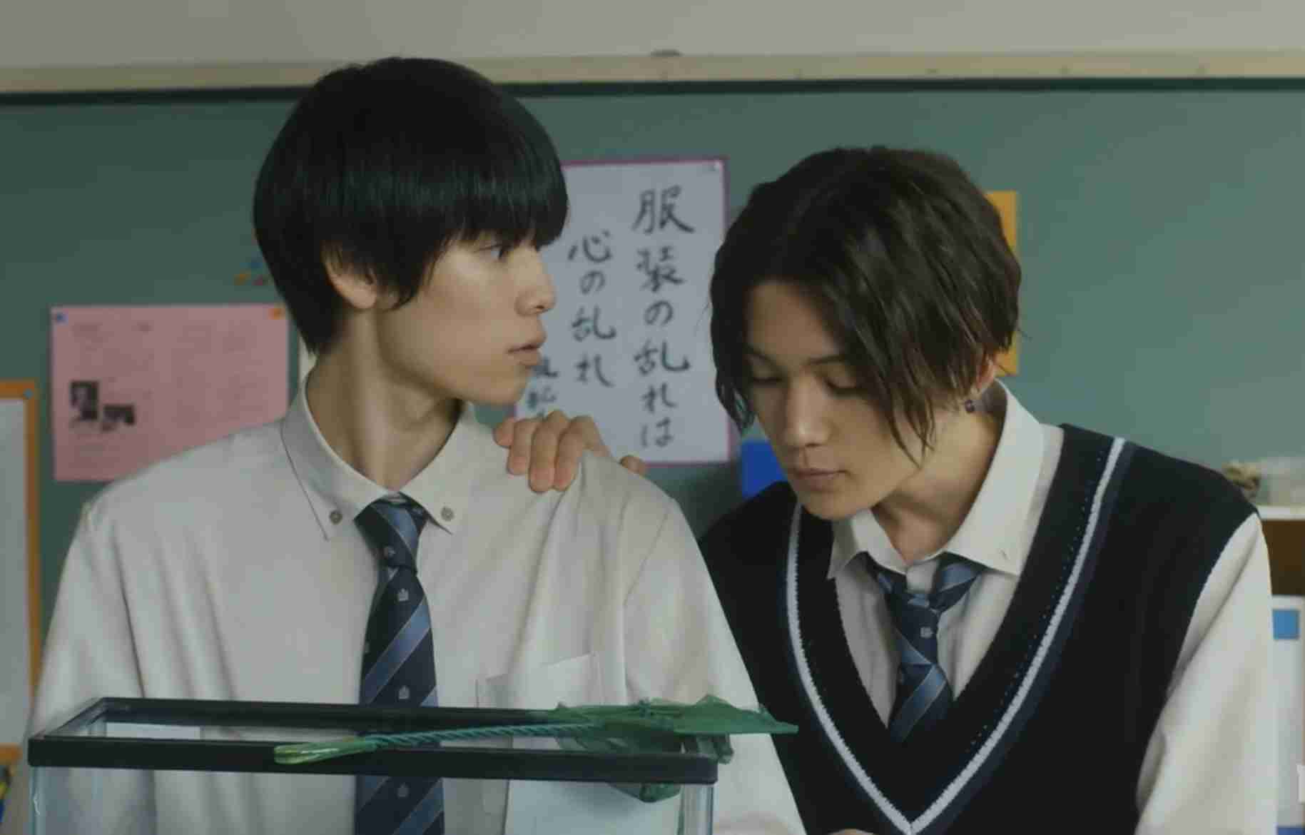 【ドラマ/映画】「美しい彼」を語ろう Part29