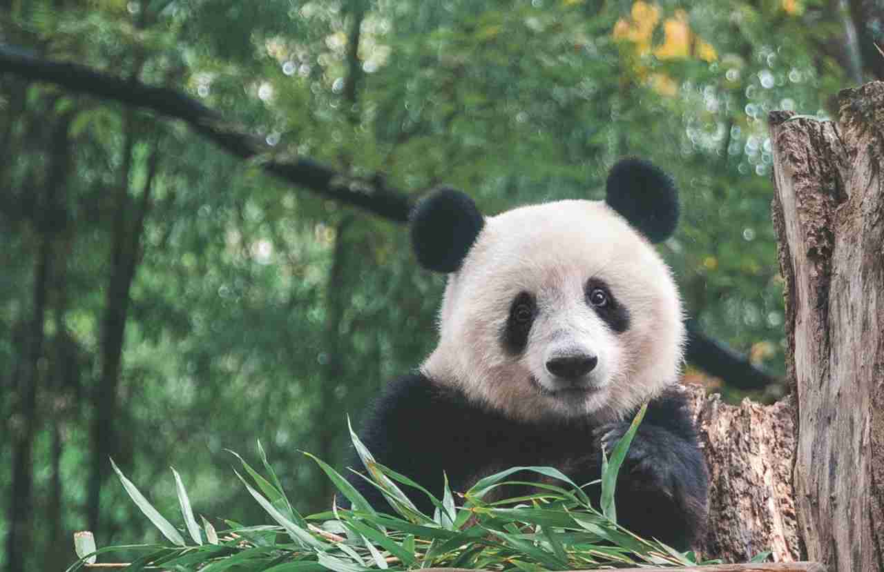 【朝ドラ】今後ありそうなタイトルを考えよう【ネタ可】