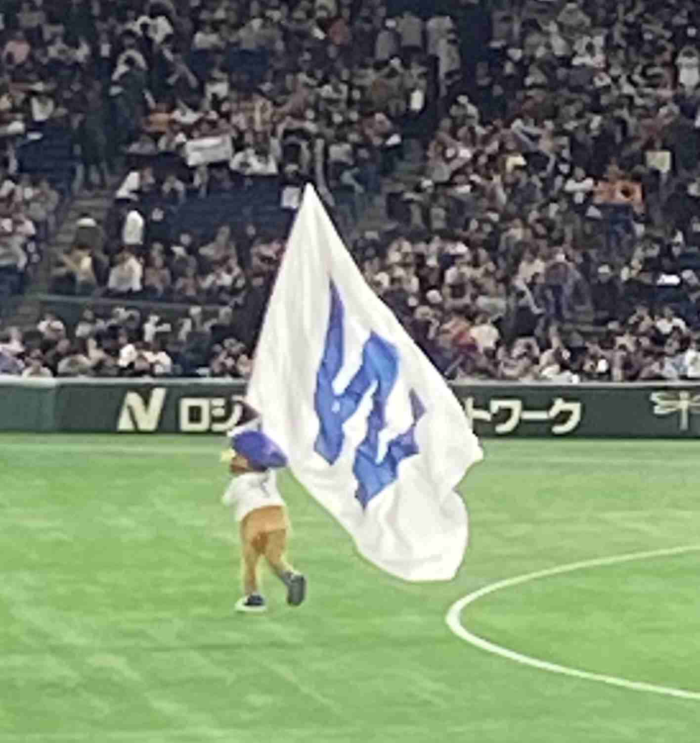【投げる哲学者】MLBシカゴ・カブス 今永昇太応援トピ【今永先生】Part5