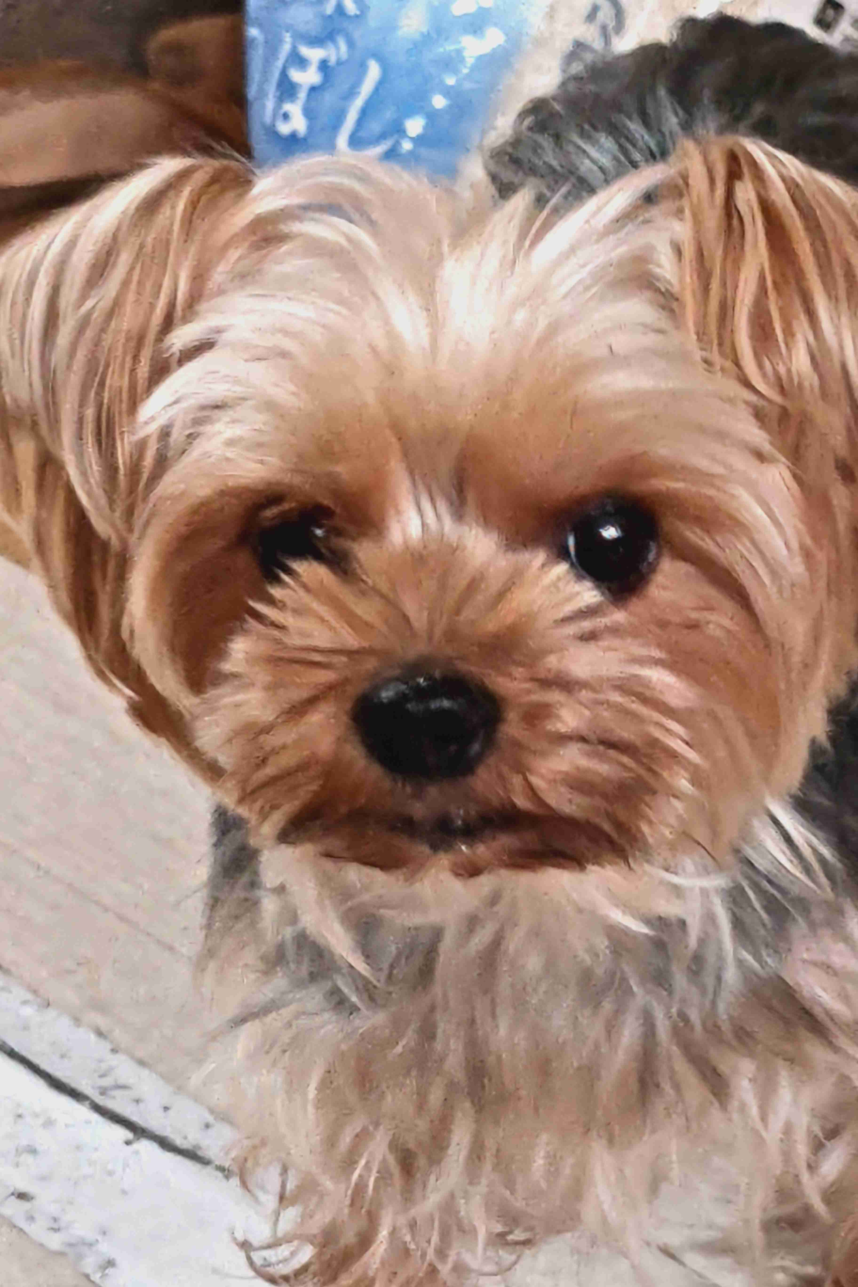 犬の画像を貼ると誰かが名前を付けてくれるトピ Part3