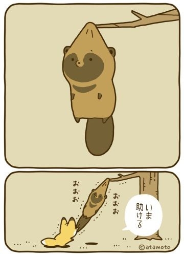 たぬき!狸!Tanuki!Part5