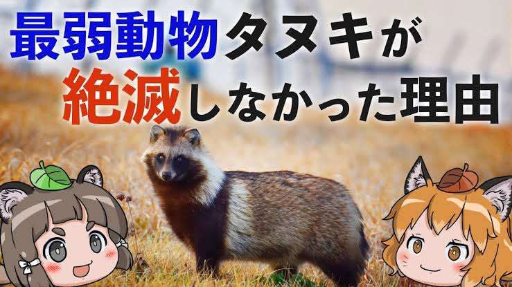 たぬき!狸!Tanuki!Part5