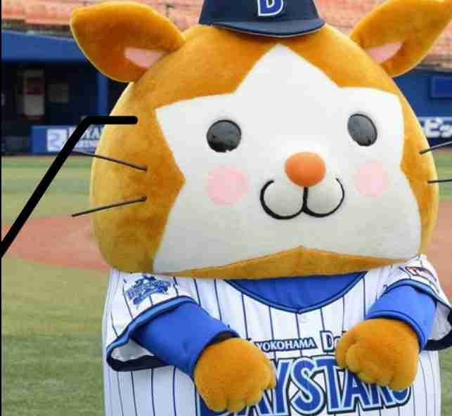 たぬき!狸!Tanuki!Part5
