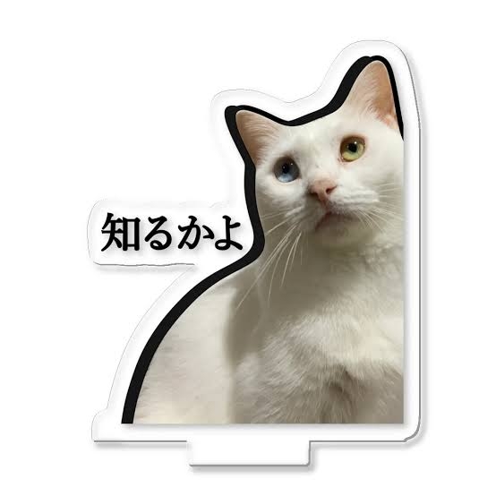 夫が詐欺にあってるかも