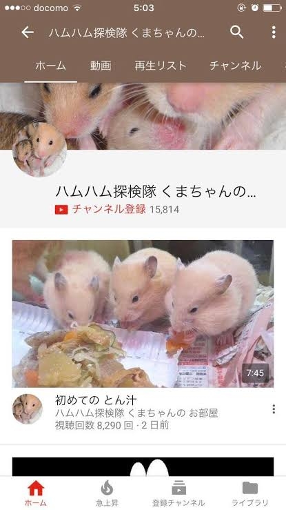 ニワトリ飼育YouTuber、収益化無効に「納得がいかない」　「暴力的で刺激の強いコンテンツ」と判断される