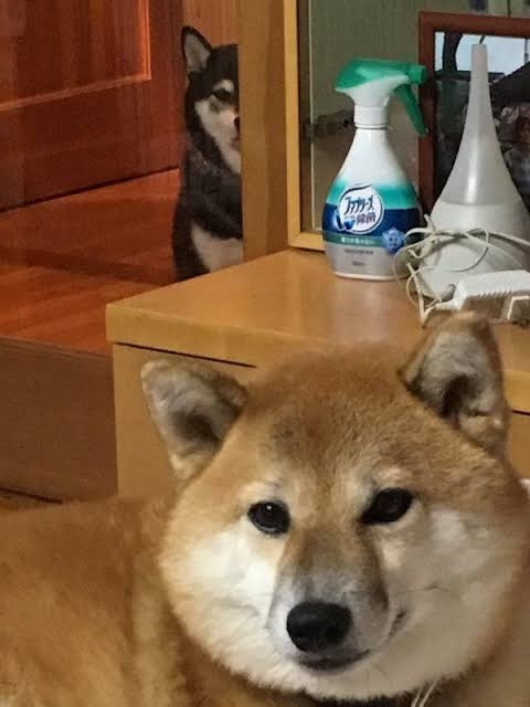 人を恨む気持ちが消えなくてつらい