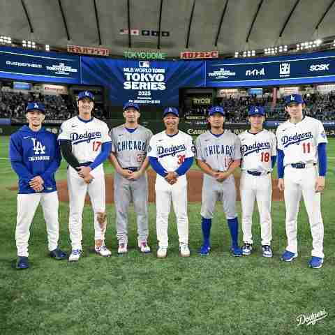 大谷翔平「ハワイ別荘」建設着手も “写真削除” トラブル…なりふり構わぬ “営業メール” の背景に深刻な販売不振か
