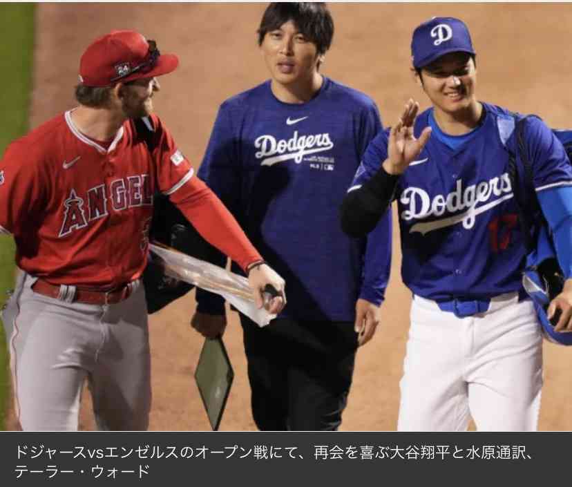 大谷翔平「ハワイ別荘」建設着手も “写真削除” トラブル…なりふり構わぬ “営業メール” の背景に深刻な販売不振か