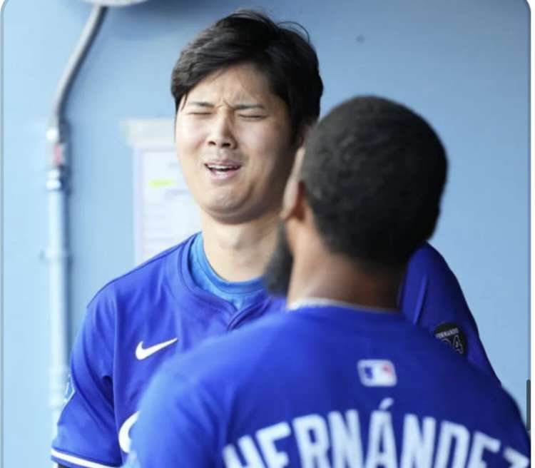 大谷翔平「ハワイ別荘」建設着手も “写真削除” トラブル…なりふり構わぬ “営業メール” の背景に深刻な販売不振か