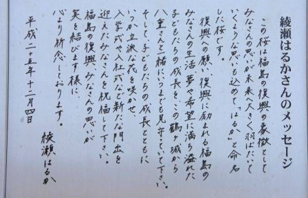 【㊗️誕生日🎉】綾瀬はるかさんが好きな人🎂【アンチ厳禁】