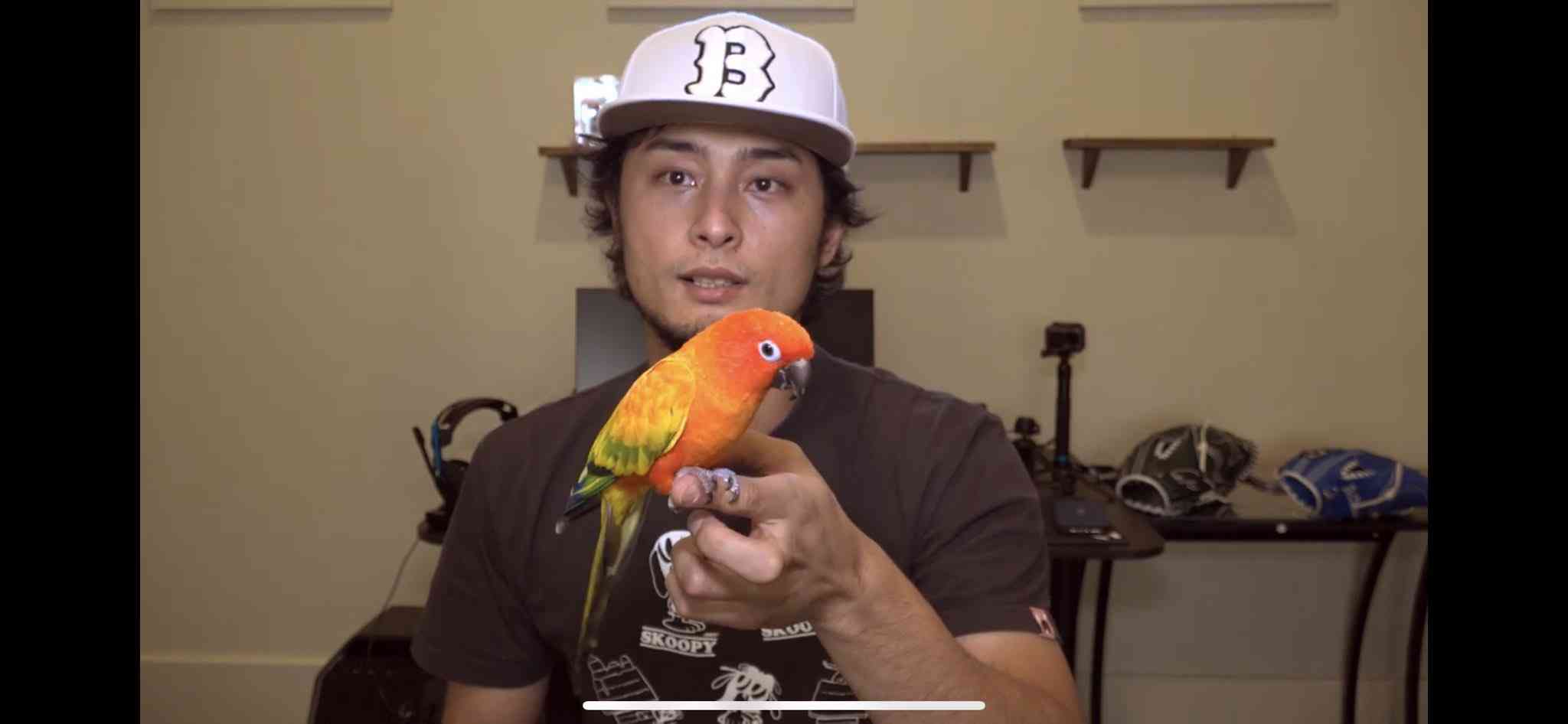 有名人と動物が一緒に写ってる画像を貼るトピPart3