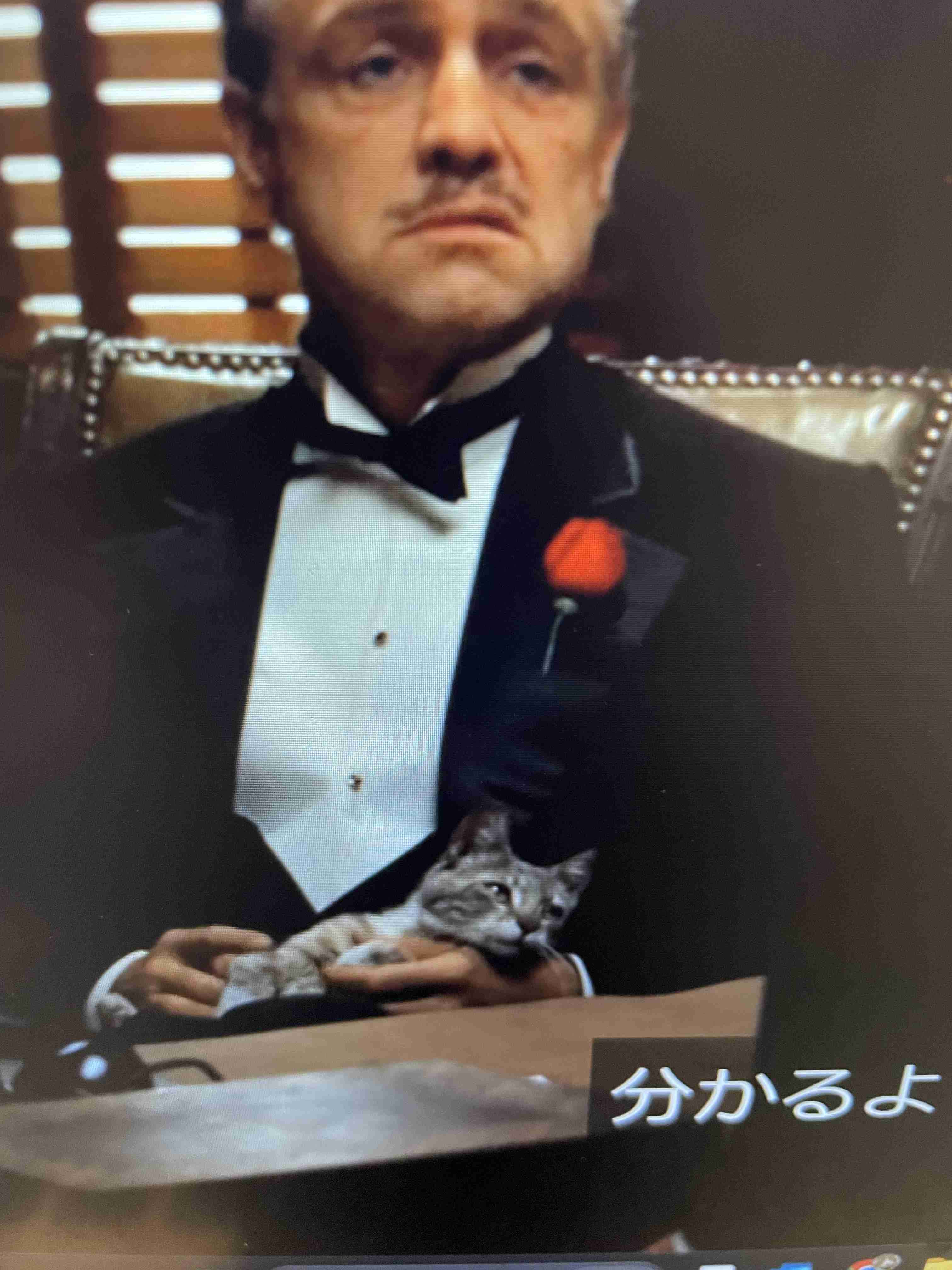 有名人と動物が一緒に写ってる画像を貼るトピPart3