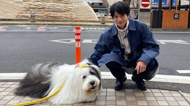 有名人と動物が一緒に写ってる画像を貼るトピPart3