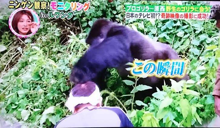 有名人と動物が一緒に写ってる画像を貼るトピPart3