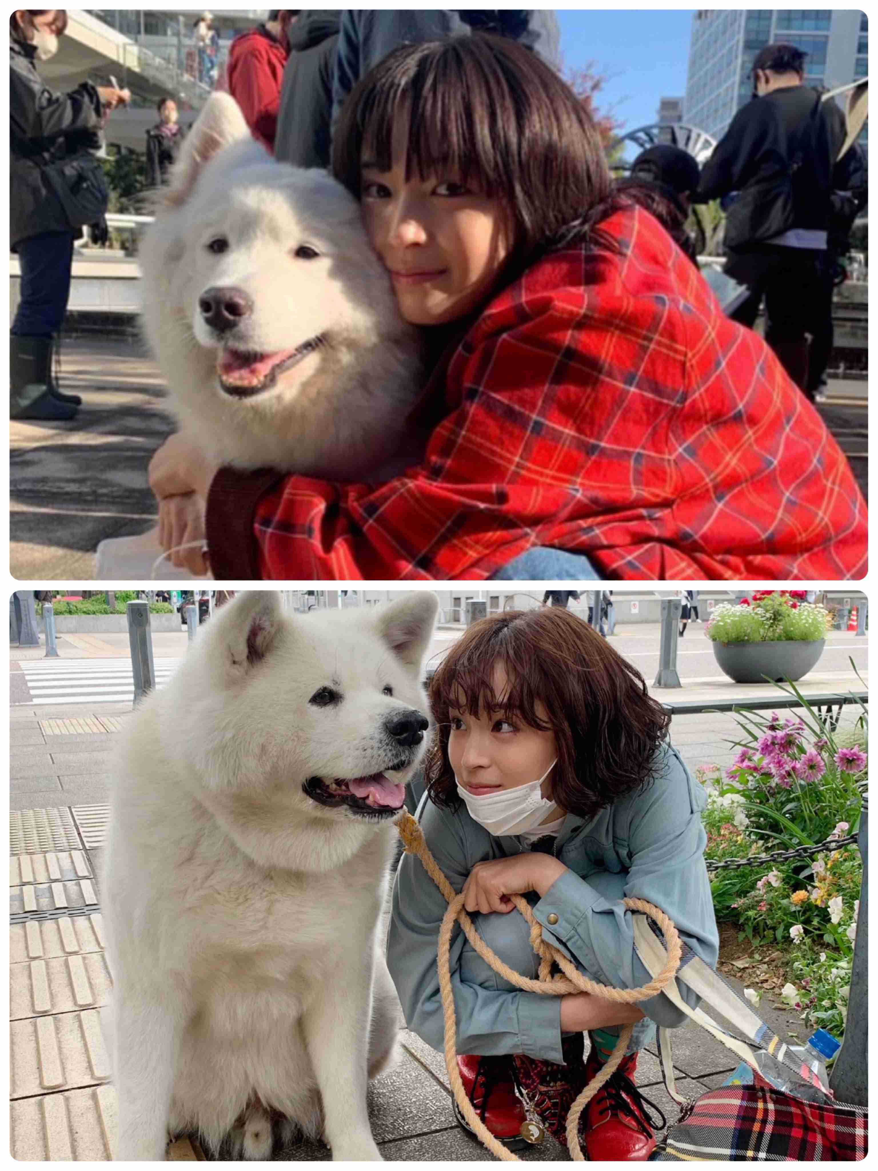 有名人と動物が一緒に写ってる画像を貼るトピPart3