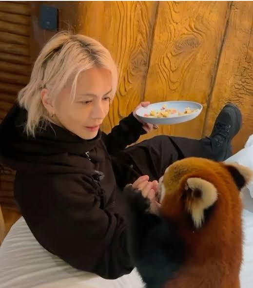 有名人と動物が一緒に写ってる画像を貼るトピPart3