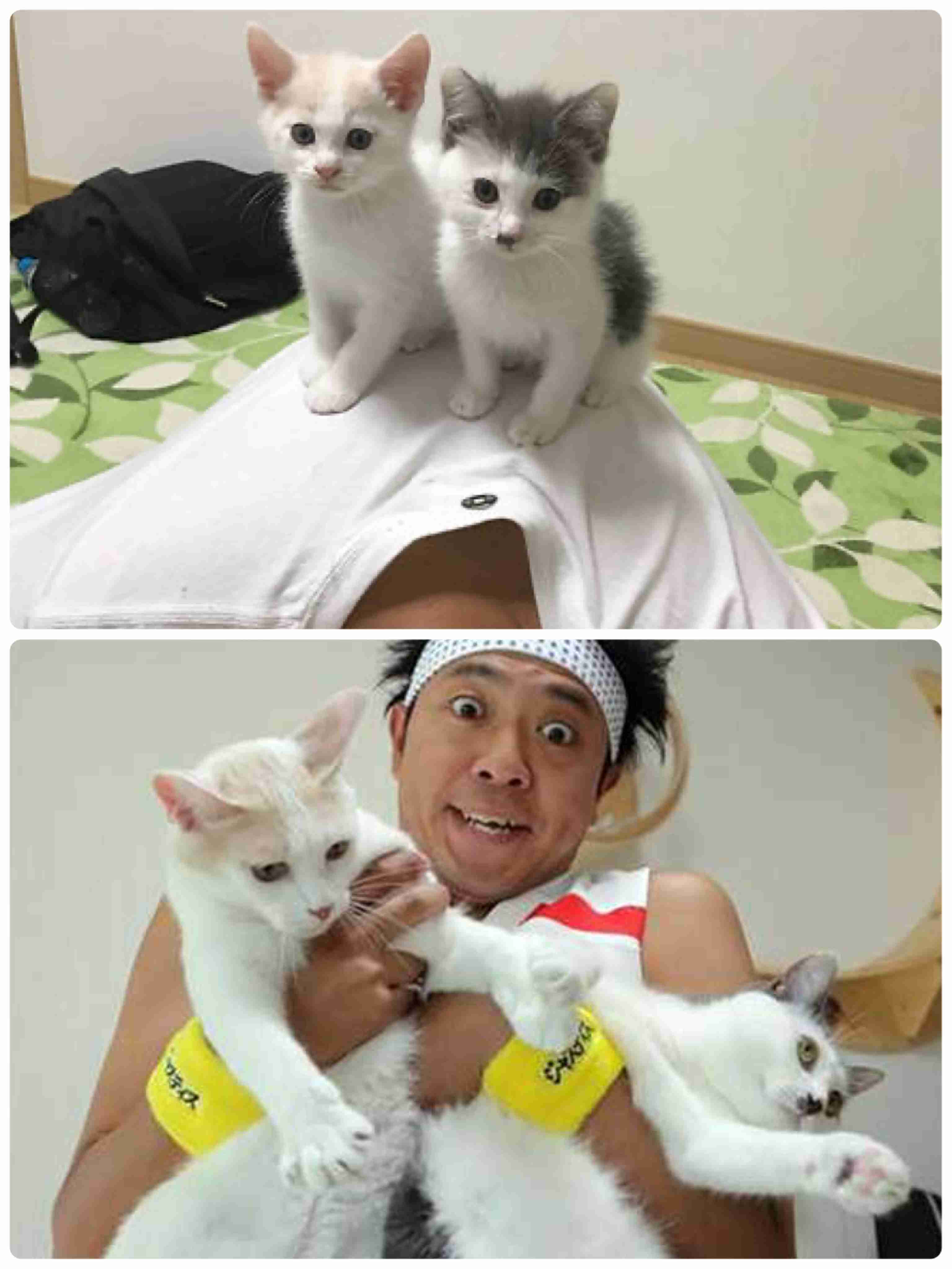 有名人と動物が一緒に写ってる画像を貼るトピPart3