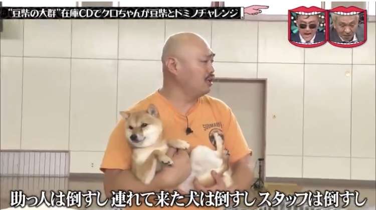 有名人と動物が一緒に写ってる画像を貼るトピPart3