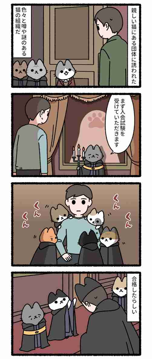 猫と仲良くなるには?
