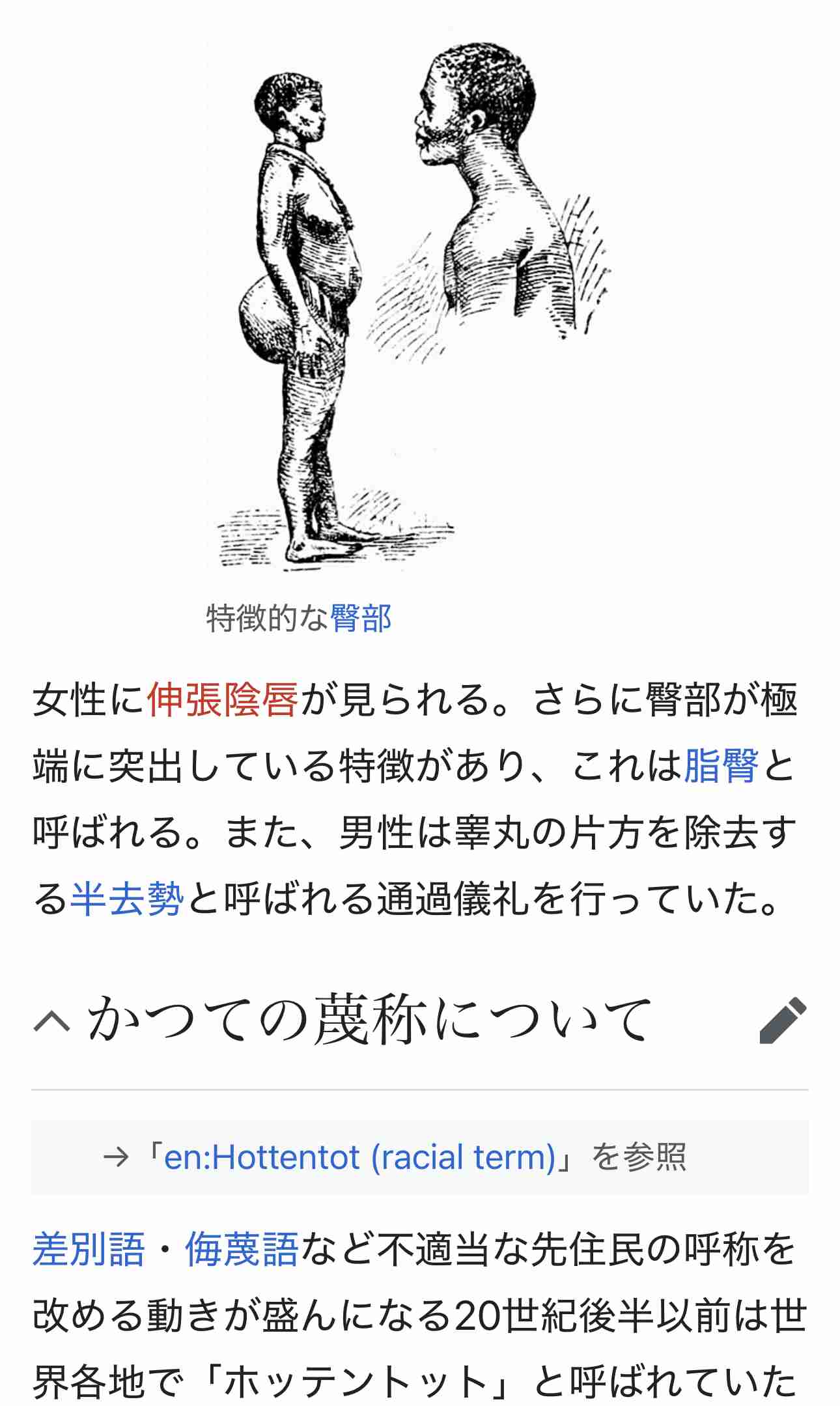 「夢の国で不快な思いをした」歩くたびに巨大なお尻に視線が集まる プラスサイズの女性が不満を募らせる
