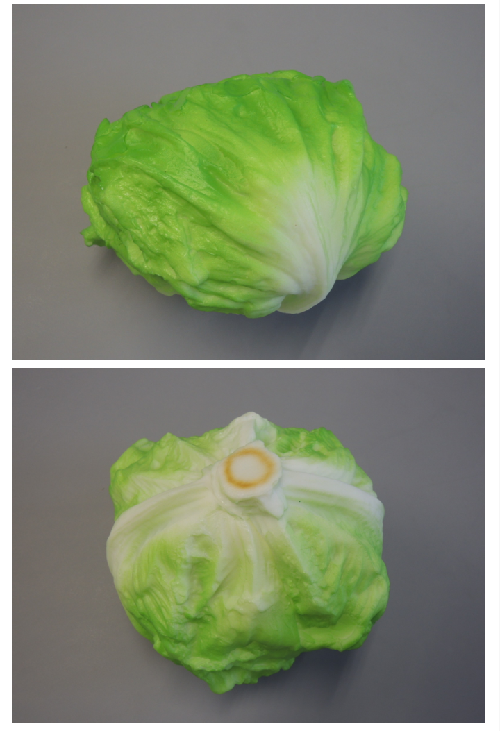 食品サンプルについて語ろう