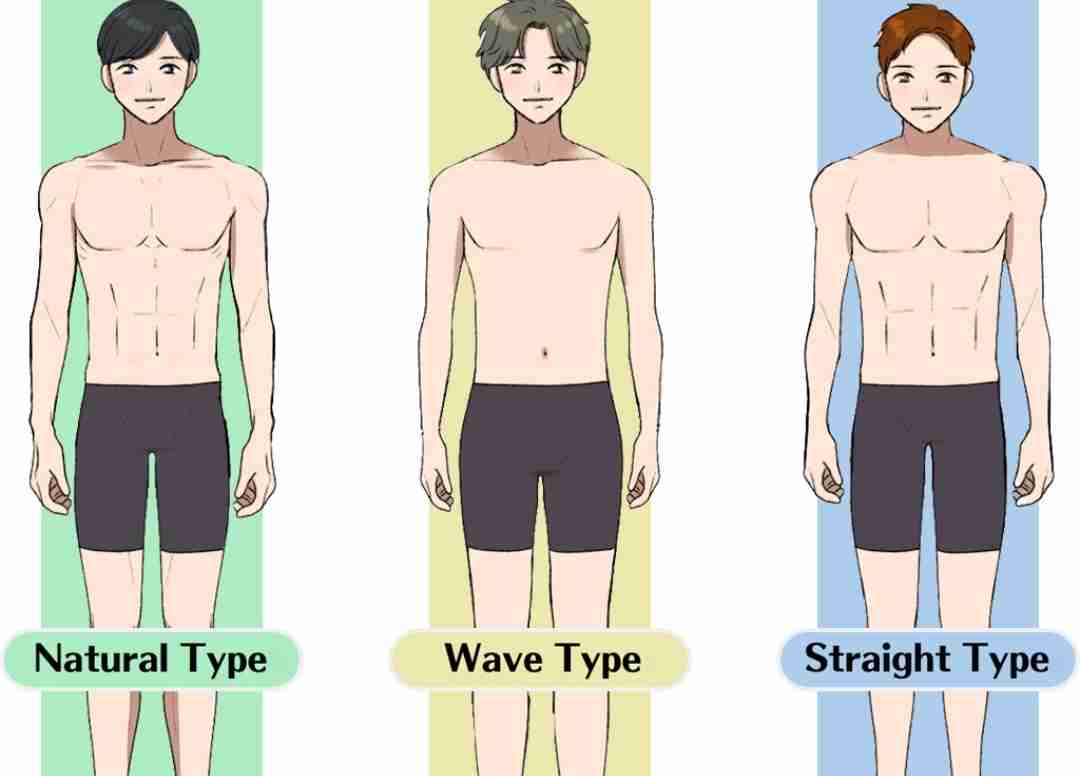 男性の好きな骨格タイプPart7