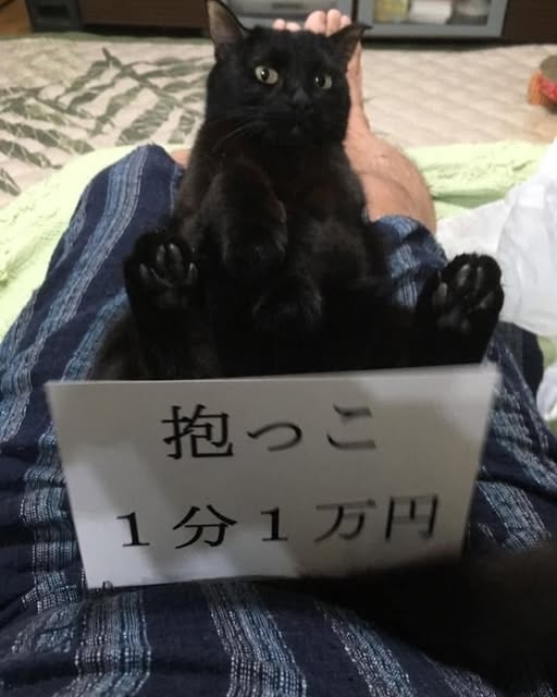 うつ状態に効果があった事や物part 3