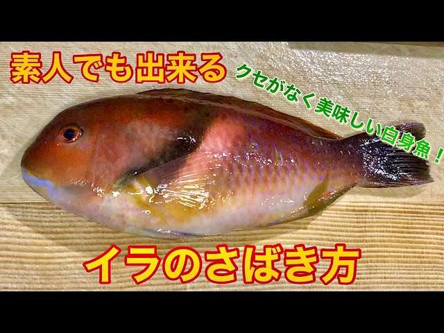 口コミでイラッとする投稿