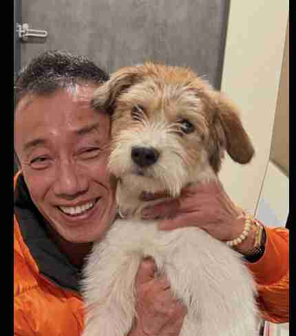 NYダウ一時1700ドル超下落…トランプ氏は“良い影響もたらす”と強調