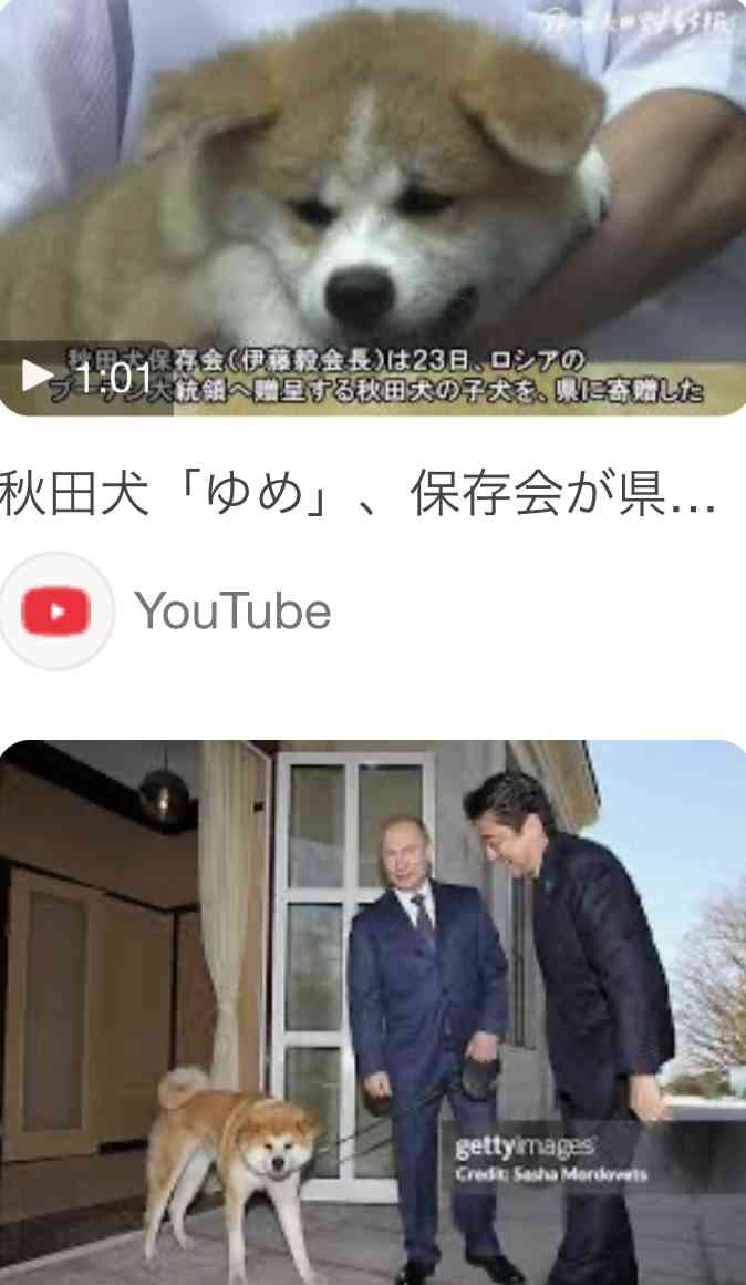 《デヴィ夫人が禁止を訴える犬食》保護団体代表がかつて遭遇した驚くべき体験 譲渡会に現れ犬を2頭欲しいと言った男に激怒「幸せになるんだよと送り出したのに冗談じゃない」