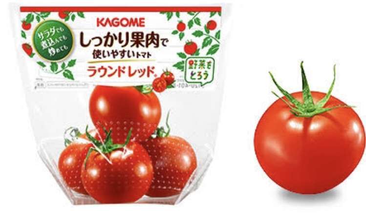 1月初旬は1玉800円ほど→214円に…『キャベツ』値段がピーク時の約4分の1に レタス等の野菜も価格下落