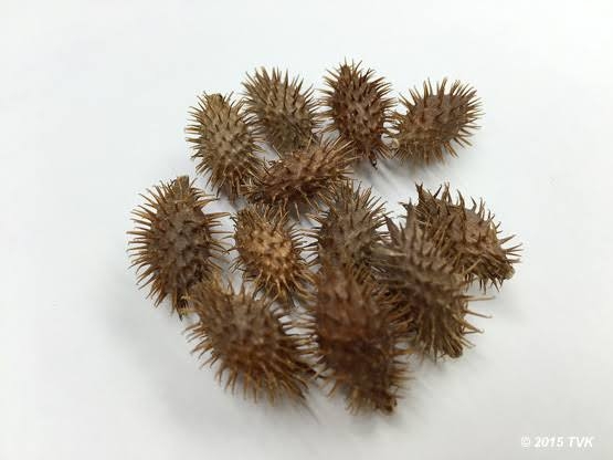 元SKE48タレントが品川駅で暴行被害　見知らぬ男性にぶつかられた上に叩かれ「怖かった、泣きそう」