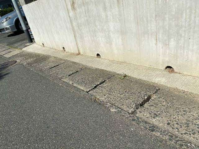 田中裕二　自転車の交通違反の反則金に「大きな道路の車道を走るってなったら危ないし。考えられない」