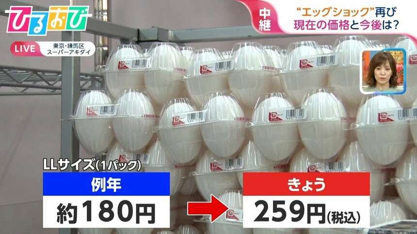 【エッグショック】玉子いくらですか?