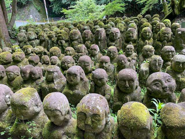 京都の寺の塀乗り越え侵入「休みで門が閉まっていた」 容疑で中国籍男逮捕