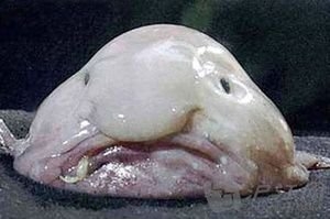 「会社をなめるな」「終わり。おまえ」有名化粧品ブランドのディー・アップで社長がパワハラ　自死した新入社員の遺族が会見