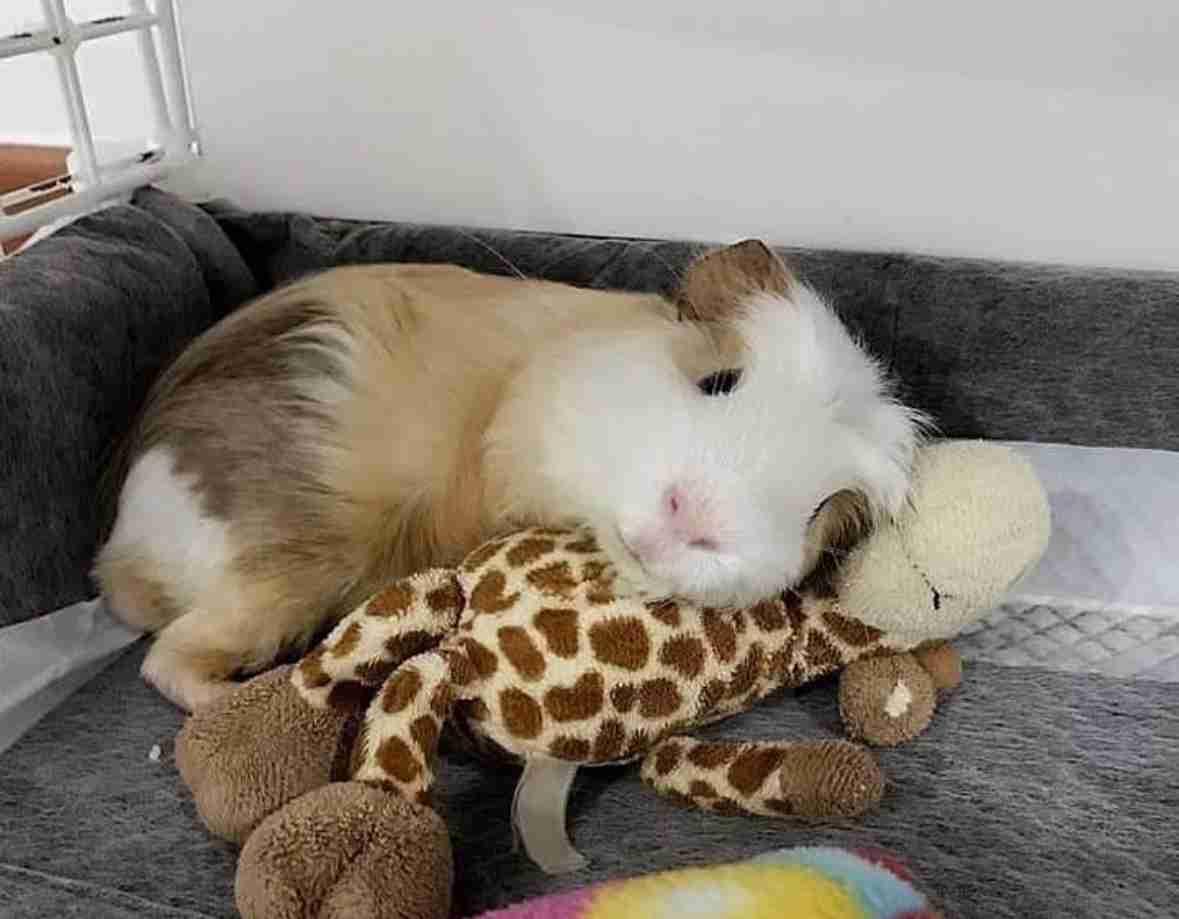 「会社をなめるな」「終わり。おまえ」有名化粧品ブランドのディー・アップで社長がパワハラ　自死した新入社員の遺族が会見