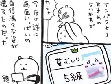 【定期】ちいかわ総合トピ🎂part35