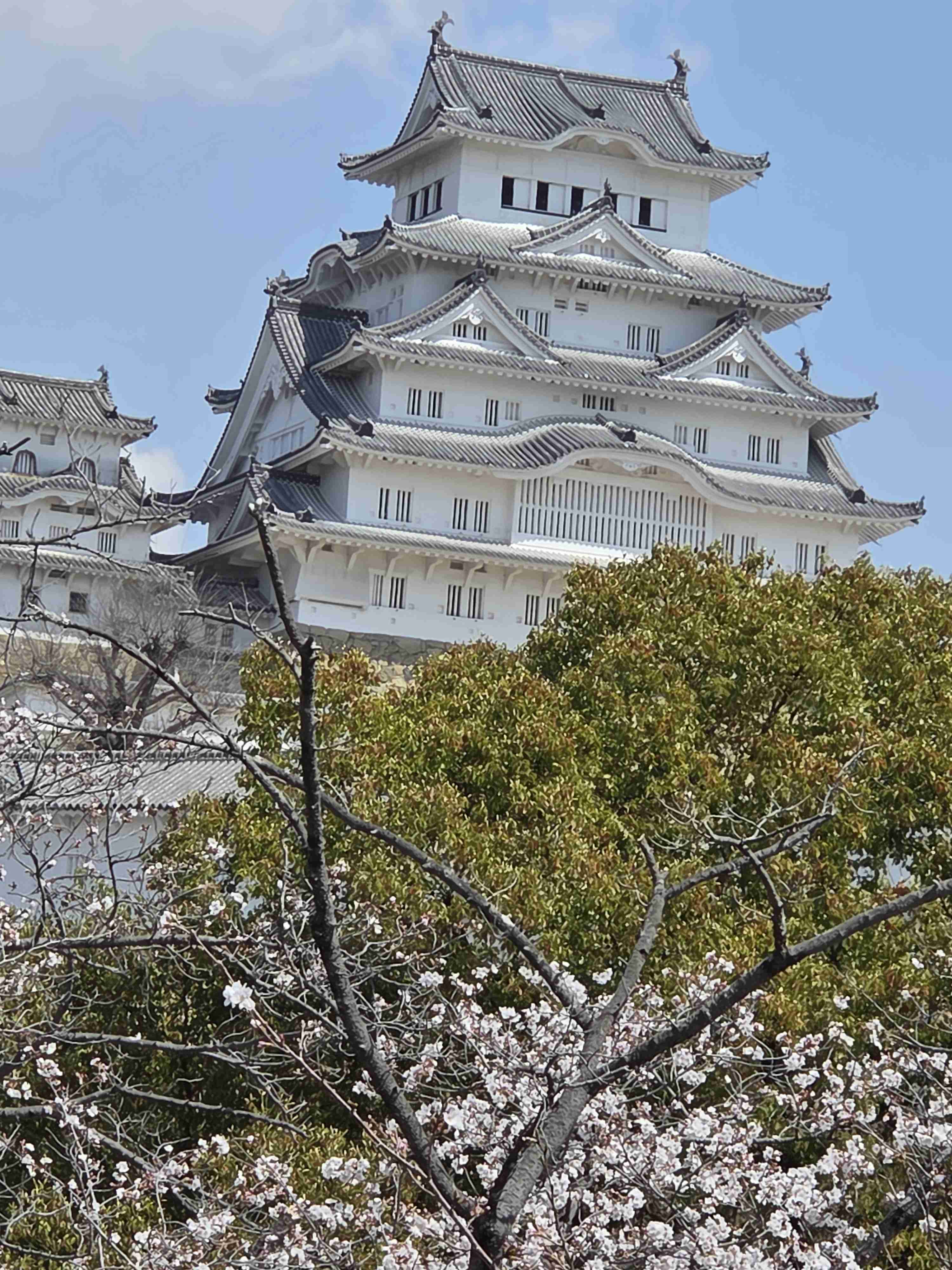 【Instagram】丁寧なインスタグラマーっぽい投稿と、そのコメント欄っぽいトピpart.9