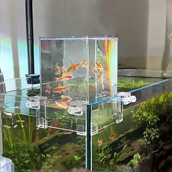 メダカトピ